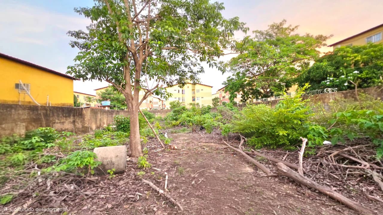 Terreno, 1000 m² - Foto 14