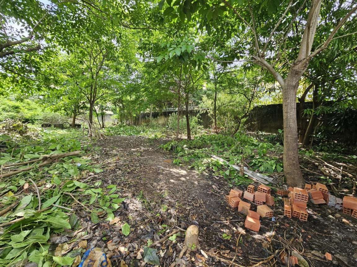 Terreno, 1000 m² - Foto 13