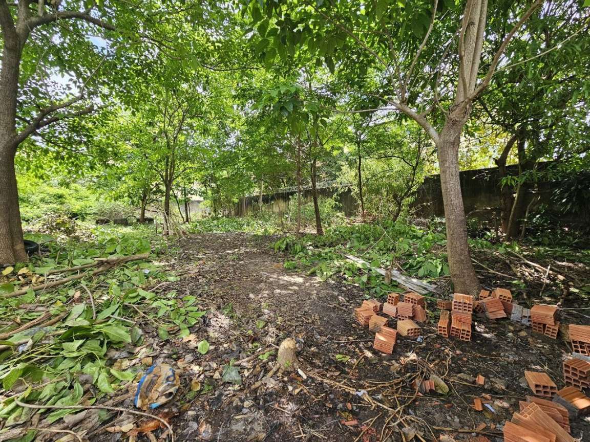 Terreno, 1000 m² - Foto 10
