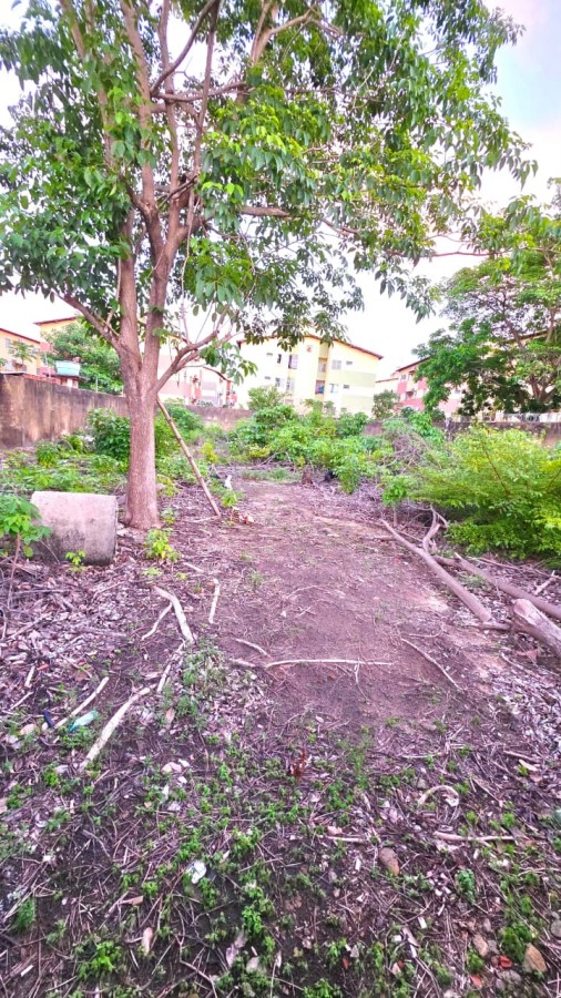 Terreno, 1000 m² - Foto 16