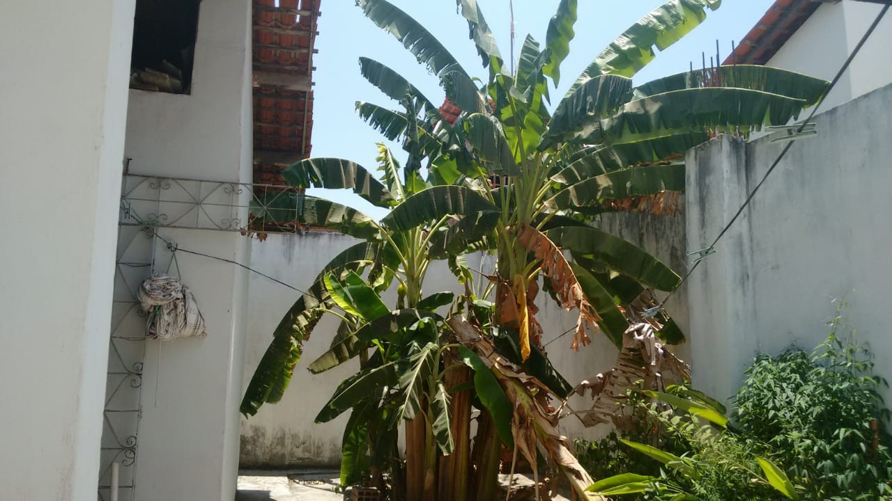 Prédio Inteiro - Foto 28